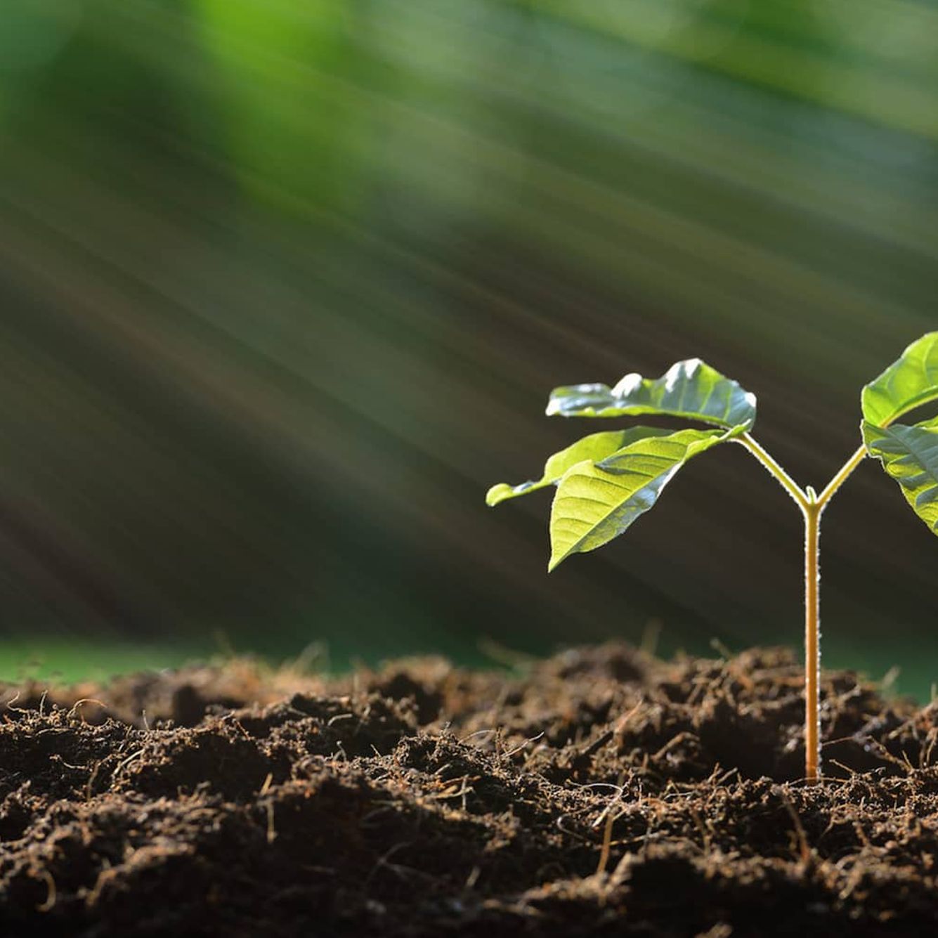 demcon-suster-waste-valorisation