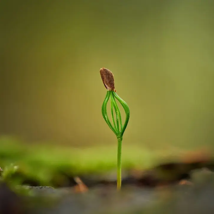 Gravity_Gardens_684c55e8e1